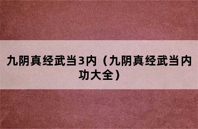 九阴真经武当3内（九阴真经武当内功大全）