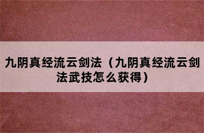 九阴真经流云剑法（九阴真经流云剑法武技怎么获得）