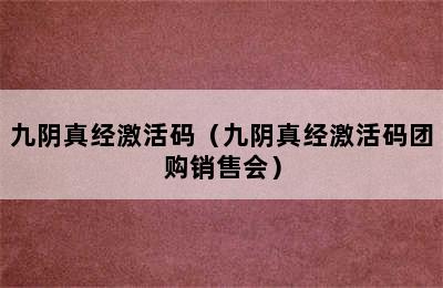 九阴真经激活码（九阴真经激活码团购销售会）