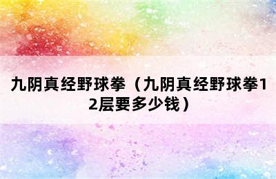 九阴真经野球拳（九阴真经野球拳12层要多少钱）