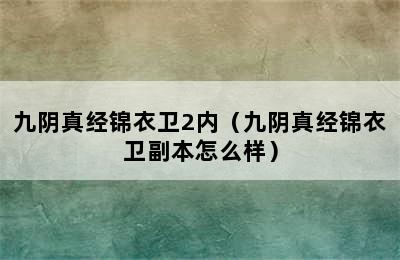 九阴真经锦衣卫2内（九阴真经锦衣卫副本怎么样）