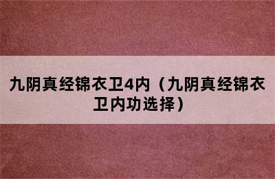 九阴真经锦衣卫4内（九阴真经锦衣卫内功选择）