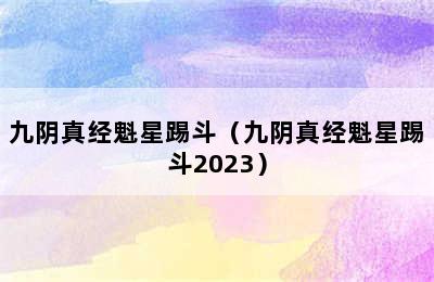 九阴真经魁星踢斗（九阴真经魁星踢斗2023）