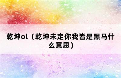 乾坤ol（乾坤未定你我皆是黑马什么意思）