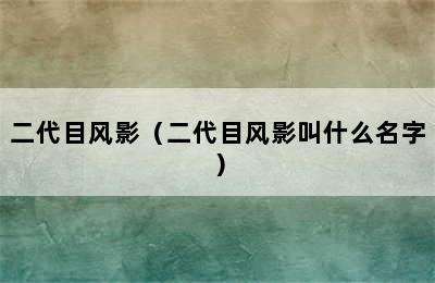 二代目风影（二代目风影叫什么名字）