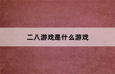 二八游戏是什么游戏