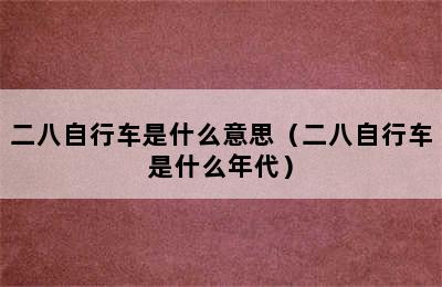 二八自行车是什么意思（二八自行车是什么年代）