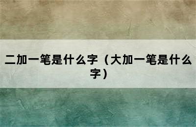 二加一笔是什么字（大加一笔是什么字）