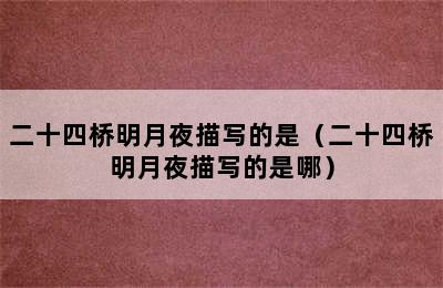 二十四桥明月夜描写的是（二十四桥明月夜描写的是哪）