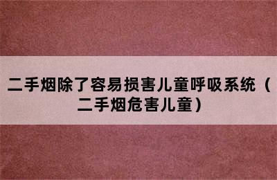 二手烟除了容易损害儿童呼吸系统（二手烟危害儿童）