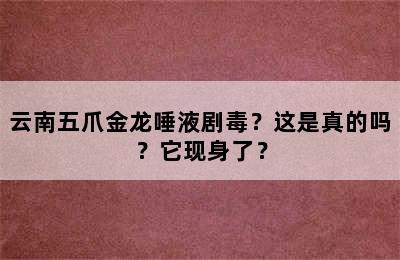 云南五爪金龙唾液剧毒？这是真的吗？它现身了？