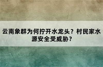 云南象群为何拧开水龙头？村民家水源安全受威胁？