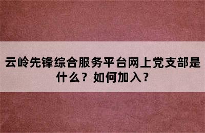 云岭先锋综合服务平台网上党支部是什么？如何加入？