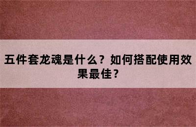 五件套龙魂是什么？如何搭配使用效果最佳？