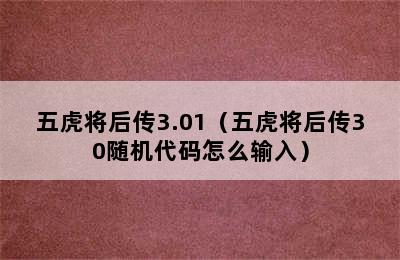 五虎将后传3.01（五虎将后传30随机代码怎么输入）