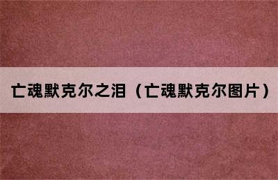 亡魂默克尔之泪（亡魂默克尔图片）