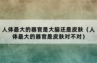 人体最大的器官是大脑还是皮肤（人体最大的器官是皮肤对不对）