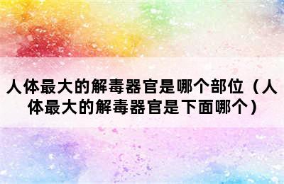 人体最大的解毒器官是哪个部位（人体最大的解毒器官是下面哪个）