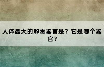 人体最大的解毒器官是？它是哪个器官？