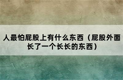 人最怕屁股上有什么东西（屁股外面长了一个长长的东西）