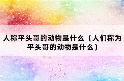 人称平头哥的动物是什么（人们称为平头哥的动物是什么）