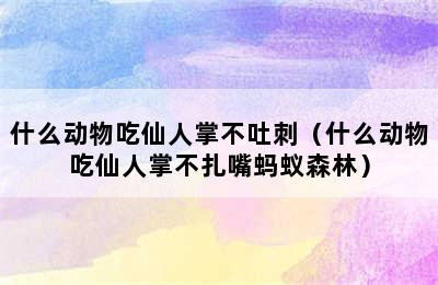 什么动物吃仙人掌不吐刺（什么动物吃仙人掌不扎嘴蚂蚁森林）