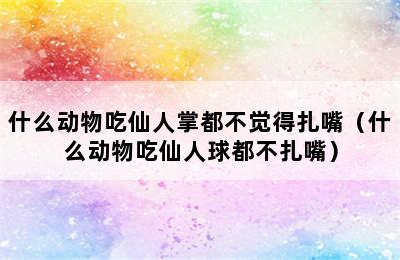 什么动物吃仙人掌都不觉得扎嘴（什么动物吃仙人球都不扎嘴）