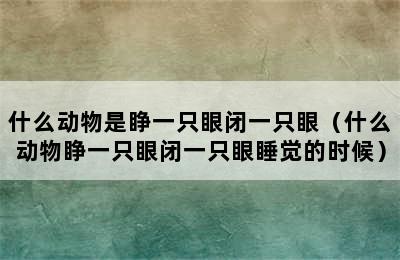 什么动物是睁一只眼闭一只眼（什么动物睁一只眼闭一只眼睡觉的时候）