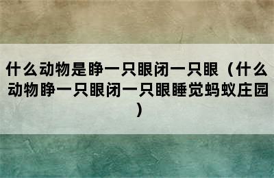 什么动物是睁一只眼闭一只眼（什么动物睁一只眼闭一只眼睡觉蚂蚁庄园）