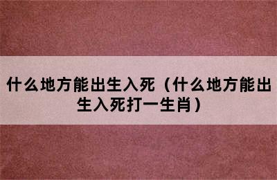 什么地方能出生入死（什么地方能出生入死打一生肖）