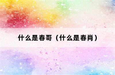 什么是春哥（什么是春肖）