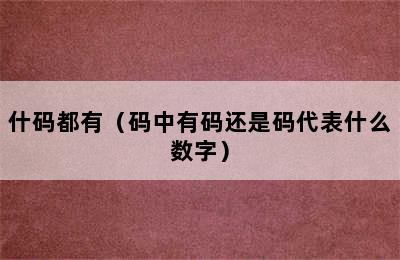 什码都有（码中有码还是码代表什么数字）