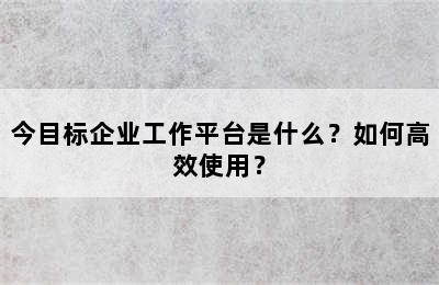 今目标企业工作平台是什么？如何高效使用？