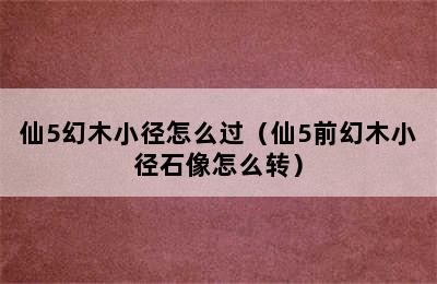 仙5幻木小径怎么过（仙5前幻木小径石像怎么转）