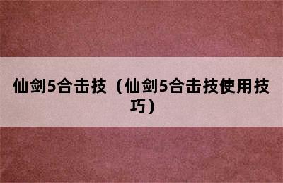 仙剑5合击技（仙剑5合击技使用技巧）