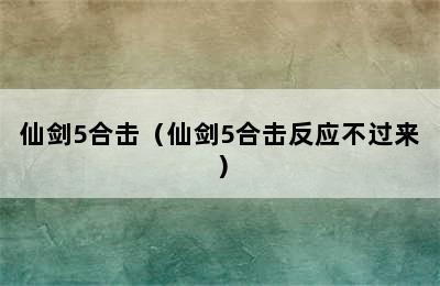 仙剑5合击（仙剑5合击反应不过来）