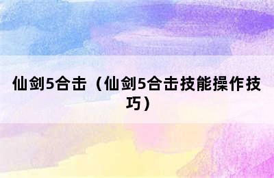 仙剑5合击（仙剑5合击技能操作技巧）