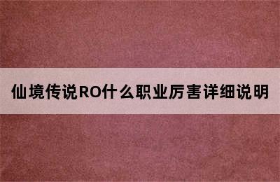 仙境传说RO什么职业厉害详细说明