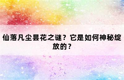 仙落凡尘昙花之谜？它是如何神秘绽放的？