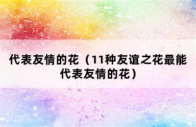 代表友情的花（11种友谊之花最能代表友情的花）