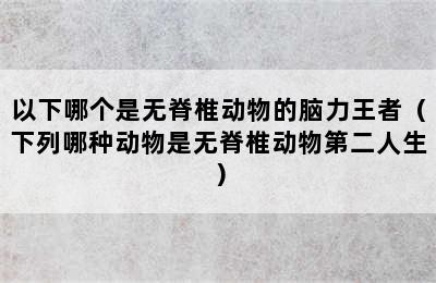 以下哪个是无脊椎动物的脑力王者（下列哪种动物是无脊椎动物第二人生）