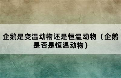 企鹅是变温动物还是恒温动物（企鹅是否是恒温动物）