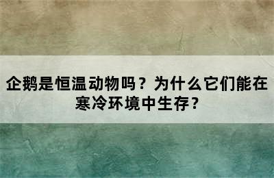 企鹅是恒温动物吗？为什么它们能在寒冷环境中生存？