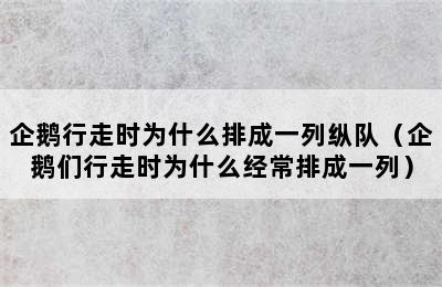 企鹅行走时为什么排成一列纵队（企鹅们行走时为什么经常排成一列）