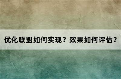 优化联盟如何实现？效果如何评估？