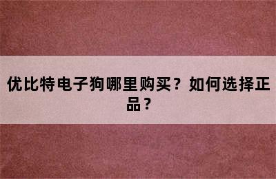 优比特电子狗哪里购买？如何选择正品？