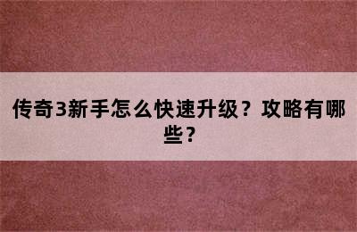 传奇3新手怎么快速升级？攻略有哪些？