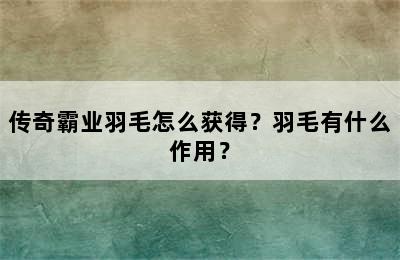 传奇霸业羽毛怎么获得？羽毛有什么作用？