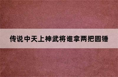 传说中天上神武将谁拿两把圆锤