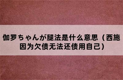 伽罗ちゃんが腿法是什么意思（西施因为欠债无法还债用自己）